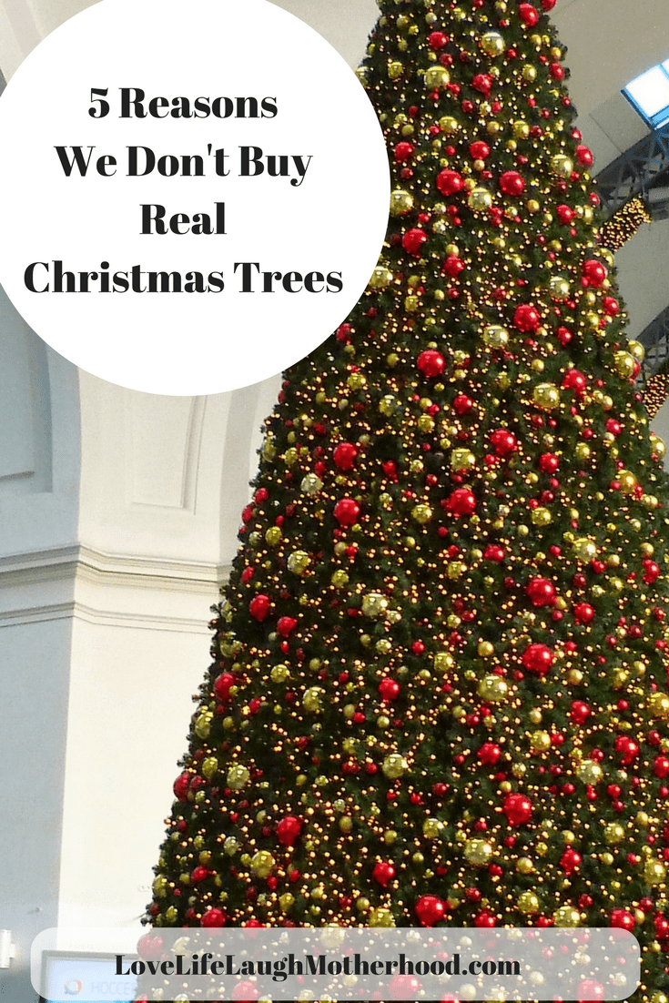 christmas tree retailers