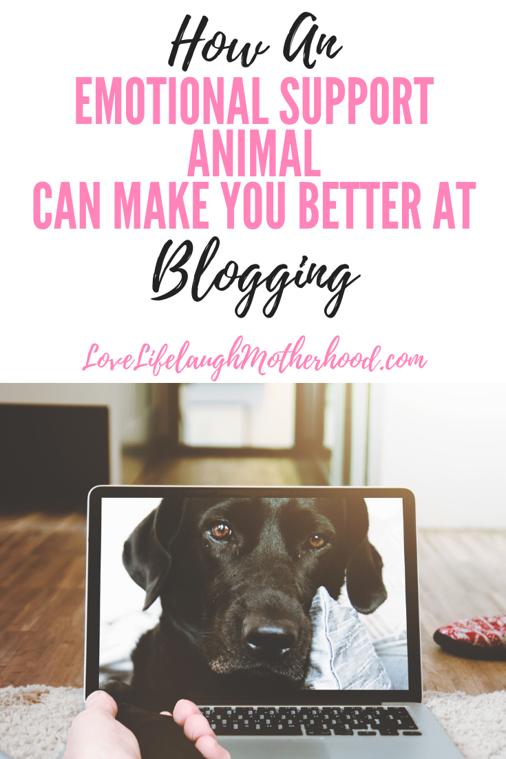 How an Emotional Support Animal can make you better at blogging #esa #blogging #tips